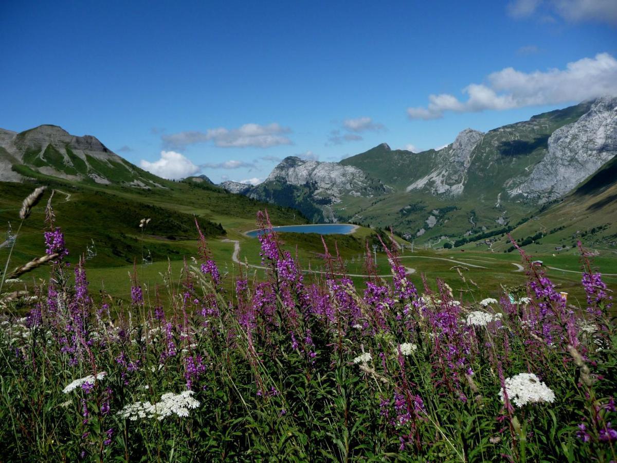 "Chalet Les Aravis" Chalet Et Appartements Le Grand-Bornand Esterno foto