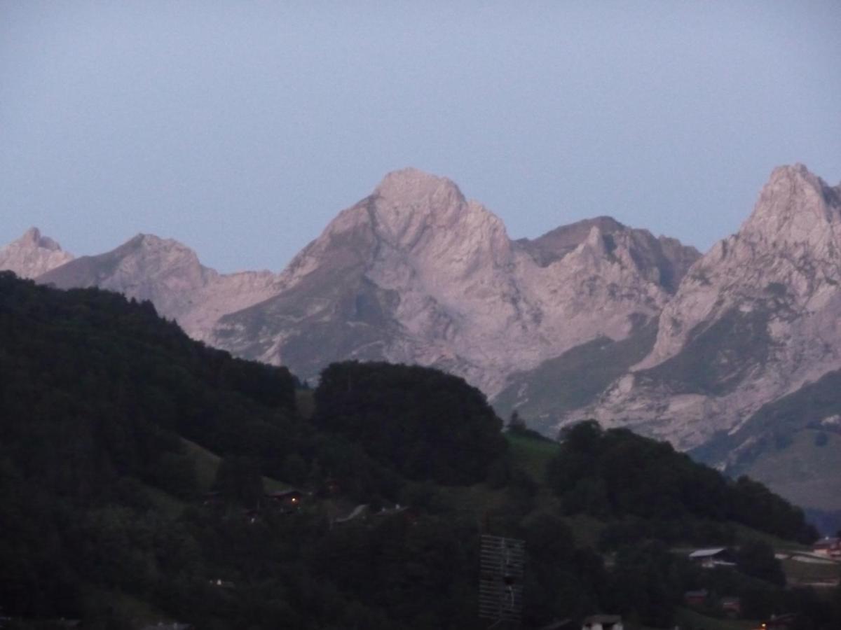 "Chalet Les Aravis" Chalet Et Appartements Le Grand-Bornand Esterno foto