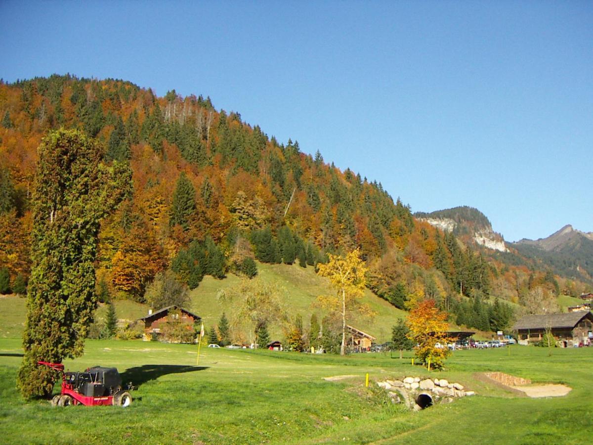"Chalet Les Aravis" Chalet Et Appartements Le Grand-Bornand Esterno foto
